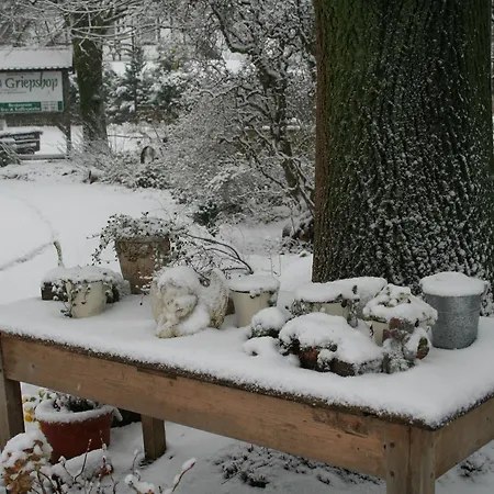 호텔 Bad Griepshop